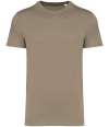NS305 Native Spirit Unisex Heavyweight T Shirt Wet Sand colour image